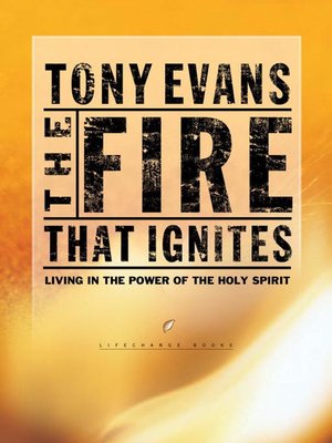 The Fire That Ignites - ebook